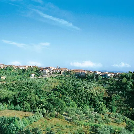 Il Felciaione-9 By Interhome Lejlighed *